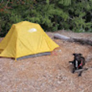 Meet your Posher, Gav